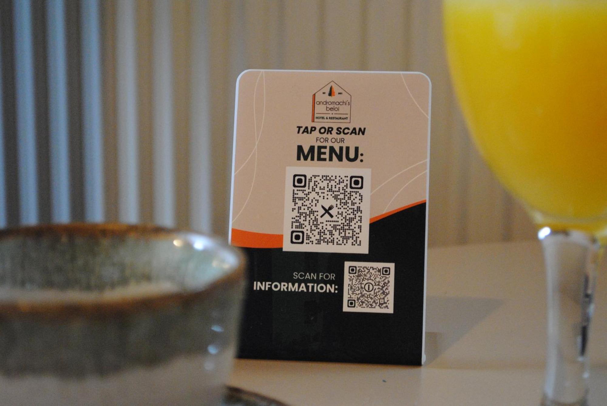 Andromachi'S Beloi Hotel Vitsa Dış mekan fotoğraf